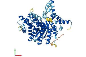 Protein Structure (PS) image for Proline Dehydrogenase (Oxidase) 2 (PRODH2) (AA 1-456) protein (His tag) (ABIN7559843)