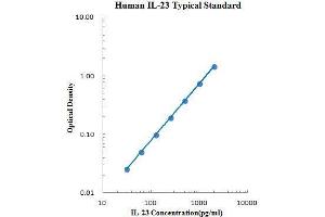 ELISA image for Interleukin 23 (IL23) ELISA Kit (ABIN2472119)