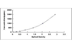 Typical standard curve (FGF13 ELISA Kit)