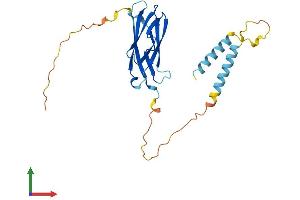 Protein Structure (PS) image for Motile Sperm Domain Containing 3 (MOSPD3) (AA 1-235) protein (His tag) (ABIN7558553)