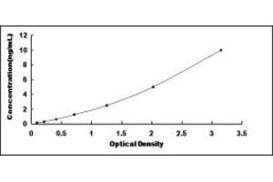 Typical standard curve (LMYC ELISA Kit)