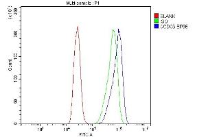 anti-Coiled-Coil Domain Containing 6 (CCDC6) (AA 156-198), (N-Term) antibody