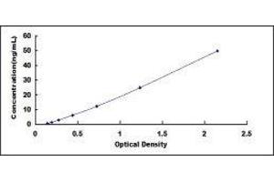 ELISA image for C-Reactive Protein (CRP) ELISA Kit (ABIN6574221)