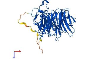 RAE1 Protein (AA 1-368) (His tag)