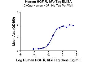 Immobilized Human HGF, His Tag at 0. (c-MET Protein (AA 25-932) (Fc Tag))
