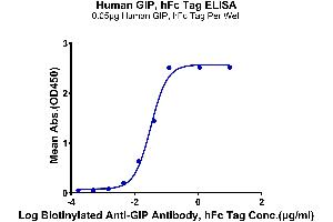 Immobilized Human GIP, hFc Tag at 0. (GIP Protein (AA 22-93) (Fc Tag))