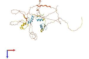 SP7 Protein (AA 1-428) (His tag)