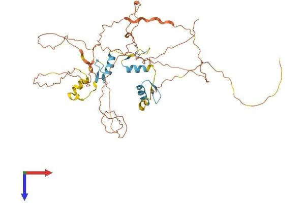 SP7 Protein (AA 1-428) (His tag)