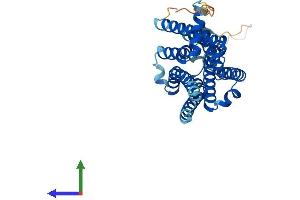 Protein Structure (PS) image for Adenosine A2b Receptor (ADORA2B) (AA 1-332) protein (His tag) (ABIN7557581)