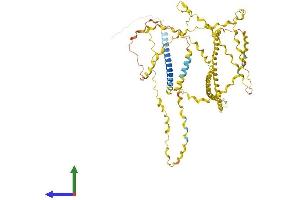 Protein Structure (PS) image for Collagen, Type XXIII, alpha 1 (COL23A1) (AA 1-532) protein (His tag) (ABIN7559570)