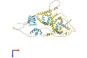 UBQLN4 Protein (AA 1-601) (His tag)