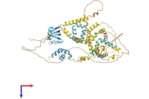 UBQLN4 Protein (AA 1-601) (His tag)
