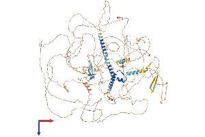 Zinc Finger Protein 804B (ZNF804B) (AA 1-1349) protein (His tag)