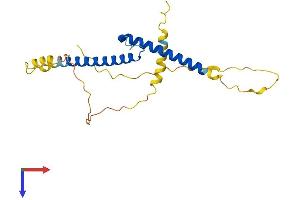 BHLHE23 Protein (AA 1-223) (His tag)