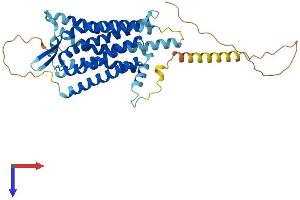 TACR1 Protein (AA 1-407) (His tag)