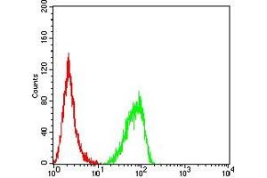 Flow cytometric analysis of Hela cells using RBBP7 mouse mAb (green) and negative control (red). (RBBP7 Antikörper  (AA 1-200))