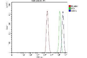 Flow Cytometry analysis of THP-1 cells using anti-SMC5 antibody (ABIN7600007).
