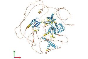 Protein Structure (PS) image for Connector Enhancer of Kinase Suppressor of Ras 2 (CNKSR2) (AA 1-1032) protein (His tag) (ABIN7564297)