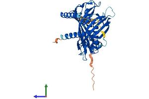 Protein Structure (PS) image for Acyl-CoA Thioesterase 7 (ACOT7) (AA 1-381) protein (His tag) (ABIN7559970)