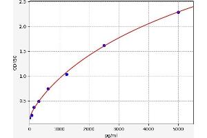 UCP1 ELISA Kit