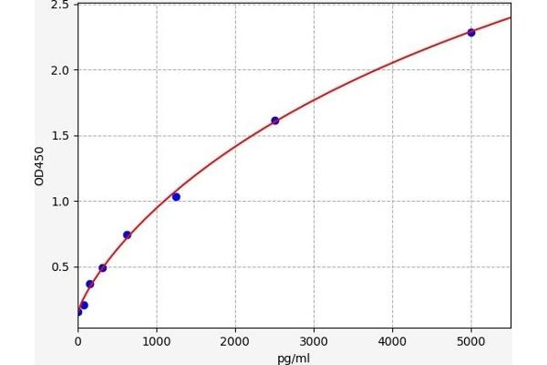 UCP1 ELISA Kit