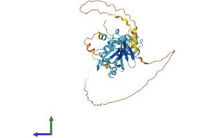 Protein Structure (PS) image for Ubiquitin Family Domain Containing 1 (UBFD1) (AA 1-368) protein (His tag) (ABIN7558174)