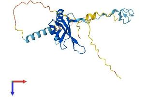 ZCRB1 Protein (AA 1-217) (His tag)
