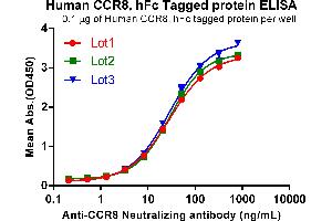 Minimal lot-to-lot variability of the recombinant human protein (ABIN6964400, ABIN7042855 and ABIN7042856) Similar levels of purity and bioactivity of human protein (ABIN6964400, ABIN7042855 and ABIN7042856) from different purification lots were detected by SDS-PAGE and Coomassie blue staining (Left) and ELISA binding assay (Right).
