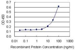 Detection limit for recombinant GST tagged AKR1CL1 is 3 ng/ml as a capture antibody. (AKR1CL1 Antikörper  (AA 1-129))