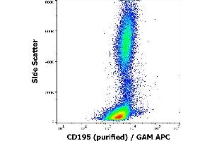 Flow cytometry surface staining pattern of human peripheral blood stained using anti-human CD195 (T21/8) purified antibody (concentration in sample 3 μg/mL) GAM APC. (CCR5 Antikörper  (AA 1-22))
