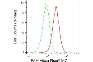 Flow cytometric analysis of PAM expression in HT- cells using PAM antibody (ABIN7799760), 1:2,000).