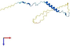 ANAPC15 Protein (AA 1-132) (His tag)