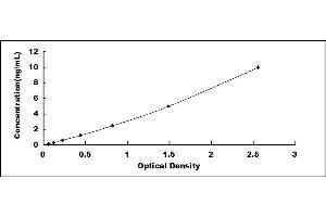 Typical standard curve (Ferritin ELISA Kit)