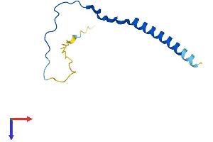 BBIP1 Protein (AA 1-92) (His tag)