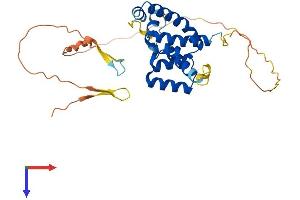 POU6F1 Protein (AA 1-301) (His tag)