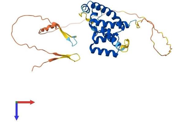 POU6F1 Protein (AA 1-301) (His tag)