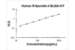 R-Spondin 4 (RSPO4) ELISA Kit