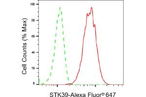 Flow cytometric analysis of STK39 expression in HepG2 cells using STK39 antibody (ABIN7800304), 1:2,000). (Rekombinanter STK39 Antikörper)