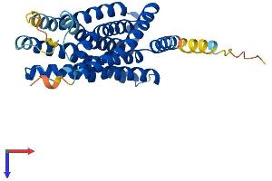 FFAR3 Protein (AA 1-319) (His tag)