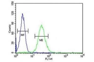 Flow Cytometry (FACS) image for anti-CD80 (CD80) (AA 260-288) antibody (ABIN3028553)