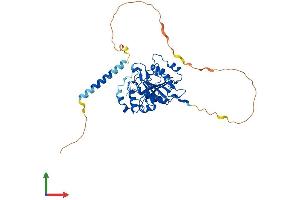Protein Structure (PS) image for UDP-Gal:betaGlcNAc beta 1,4 Galactosyltransferase, Polypeptide 1 (B4GALT1) (AA 1-399) protein (His tag) (ABIN7562892)