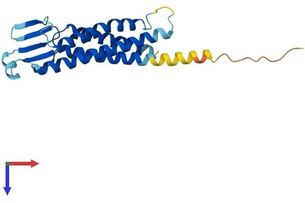 Claudin 11 Protein (CLDN11) (AA 1-207) (His tag)