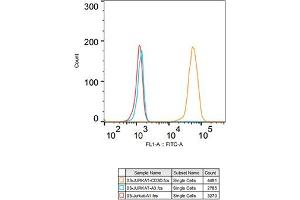 Flow cytometry: Jurkat cells were stained with Rabbit IgG isotype control (, 2. (CD3D Antikörper)