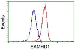 Flow cytometric Analysis of Hela cells, using anti-SAMHD1 antibody (ABIN2453937), (Red), compared to a nonspecific negative control antibody, (Blue). (SAMHD1 Antikörper)