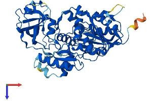 NSUN6 Protein (AA 1-476) (His tag)