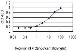 Detection limit for recombinant GST tagged LMO3 is approximately 1ng/ml as a capture antibody. (LMO3 Antikörper  (AA 91-146))