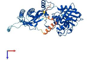 UFSP2 Protein (AA 1-469) (His tag)