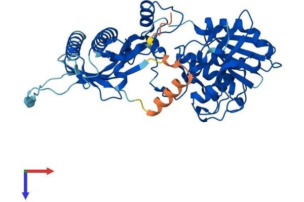UFSP2 Protein (AA 1-469) (His tag)