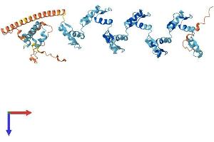 Protein Structure (PS) image for Zinc Finger Protein 98 (ZNF98) (AA 1-572) protein (His tag) (ABIN7545369)