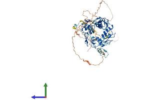 Protein Structure (PS) image for Zinc Finger Protein 548 (ZNF548) (AA 1-533) protein (His tag) (ABIN7545334)
